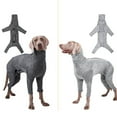 thumbnail image 2 of WINDLAND 4Leg Puppy Jumpsuits Breathable Dog Clothes Anxiety Reduce Dog Stretchy Shirts, 2 of 12