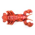 thumbnail image 3 of nipocaio Bouée de Homard Réaliste, 3 of 5