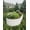 White, variant on EastVita 2Pcs 10x4x1.5FT Galvanized Steel Raised Garden Bed , Outdoor Large Planter Boxes with Easy Assembly for Vegetables,Fruits,Flowers,Durable Green Raised Garden Bed,Green