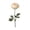 Beige, variant on Beforeyayn Artificial Ranunculus Peony Flowers, 8 Colors for Wedding Centerpieces, for Crafters and Home Stagers, Perfect for Wreaths, Garland, and Gift Wrapping
