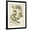 Black Frame, variant on Art.com Ivory Peonies III Art Print by Besler Basilius, Black Frame Wall Art, 32" x 40"