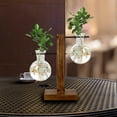 thumbnail image 6 of Propagation Station Glass Terrarium Planter Flower Pot With Retro Solid Wooden Stand For Home Kitchen Indoor Garden Wedding Desktop Patio Planters Wall Hanging Planters Planters Pots Tree Pot Indoor, 6 of 7