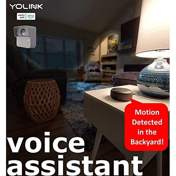 YoLink Smart Outdoor Motion Detector, Trespassing Alarm, Driveway