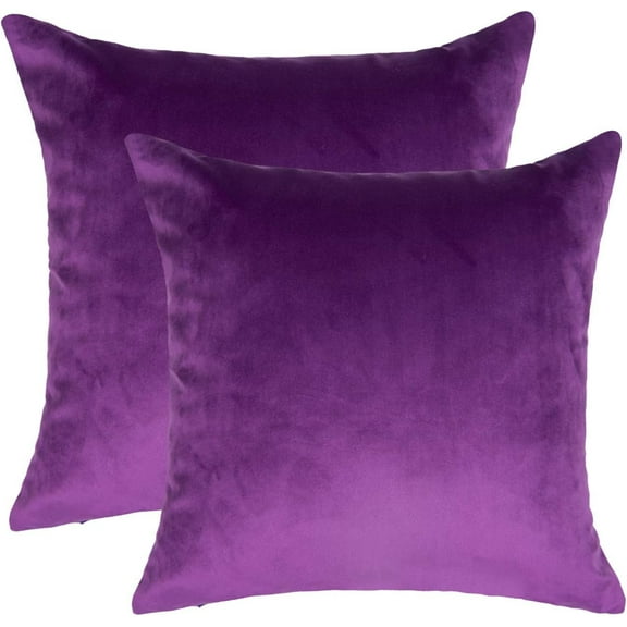 Nmkwnr Set of 2 Velvet Throw Pillow Covers Decorative Square Pillow Case Solid Color Cushion Case for Sofa Couch Bedroom for Sofa Bedroom Car, 16"x16"