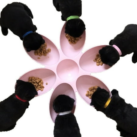 6 in 1 Pet Bowls for Cats Dogs Petal Shape Water Food Feeder Bowls Feeding 6 Pets at the Same
