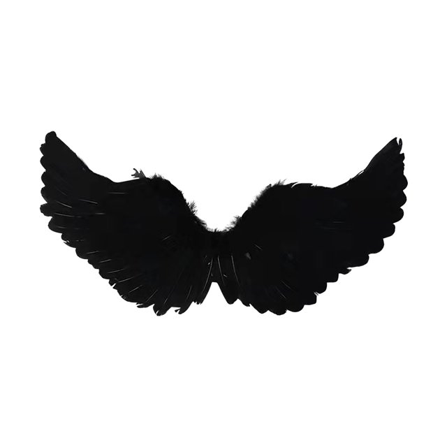 Fiudx Ofertas Relámpago Disfraz De Ángel Con Plumas Iluminadas Para Niños, Niñas Y Niños, Led Negro Para Mujeres, Fotografía De Cosplay De Halloween (Blanco Cálido Negro)