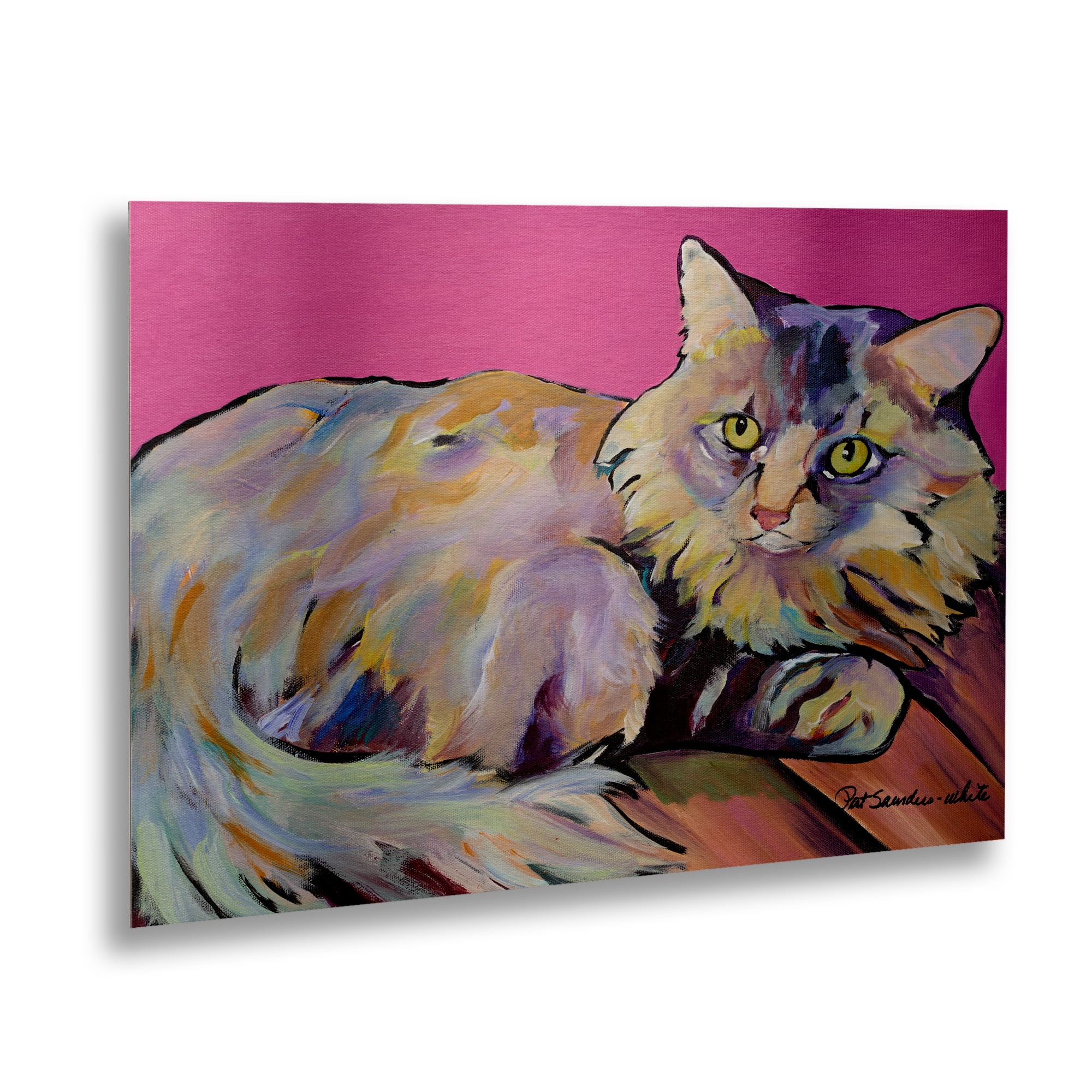 Trademark Fine Art 'Catatonic' Floating Brushed Aluminum Art by Pat Saunders-White