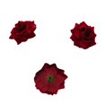 thumbnail image 4 of Simulación de cabeza de flor de terciopelo de 4,8 cm, fabricación de bricolaje de flores falsas, arreglos navideños, decoración navideña (blanco + rojo), 4 of 5