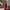 Red, variant on iOPQO Casual Dresses,Womens Dresses,Summer Dress Fashion Women Long Sleeve Long Dress Ladies Floral Print A-Line Dress Long Sleeve Maxi Dress Crew Neck Green