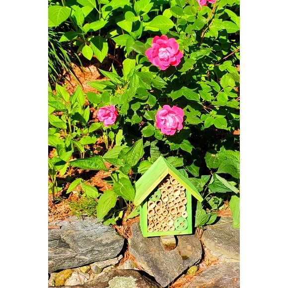 Mason Bee Houses and Supplies : Bamboo Tube Bee Hotel for Solitary Bees - Attract More Gentle Pollinating Bees to Your Garden by Providing Them with a Safe Bee Home Made from FSC Certified Wood