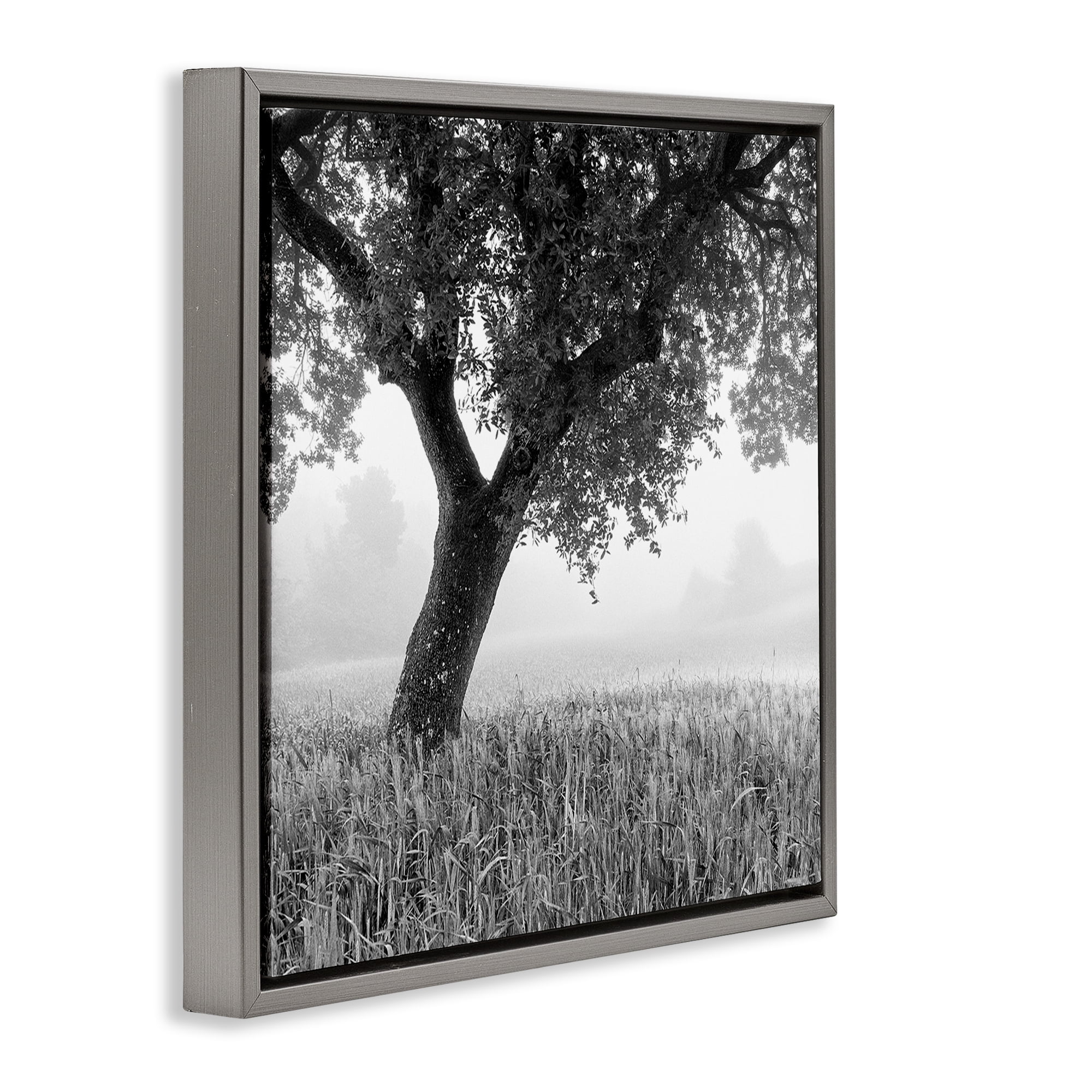 Stupell Industries Tuscan Morning Oak in Mist Gray Framed Floater Canvas Wall Art, design by Chip Forelli