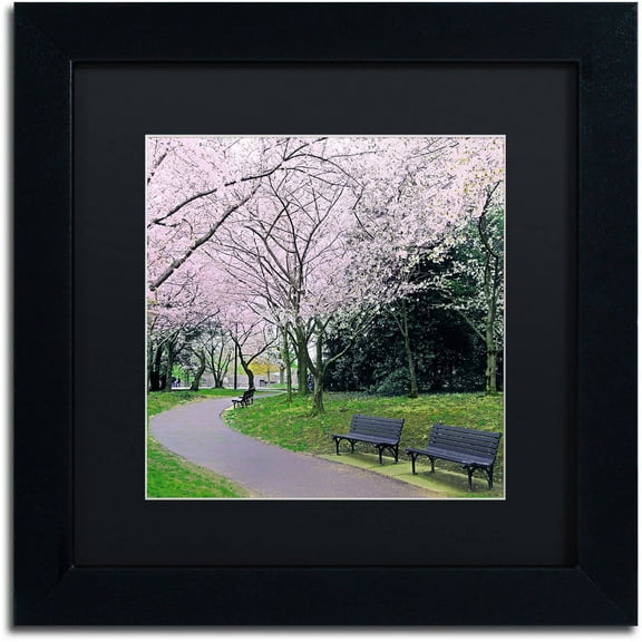 Trademark Fine Art "Spring Path" Canvas Art by CATeyes, Black Matte, Black Frame