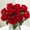 Red, variant on 12PCS Artificial Roses Silk Flowers Fake Roses Bouquet Long Stem for Home Wedding Decoration Party (Wine)