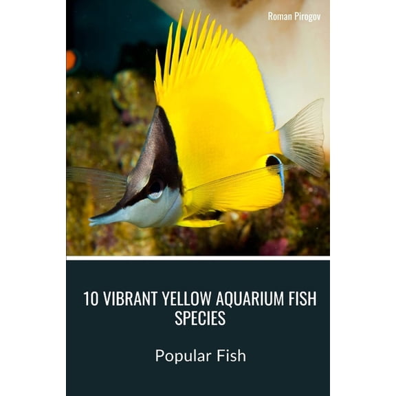 10 Vibrant Yellow Aquarium Fish Species: Popular Fish, (Paperback)