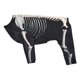 thumbnail image 5 of Disfraz de esqueleto de perro para Halloween, disfraz para mascotas, cómodo, accesorios para sesiones de fotos, genial L, 5 of 9