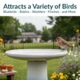thumbnail image 3 of Sunnydaze Outdoor Weather-Resistant Smooth Glaze Ceramic Subtle Transitions Garden Bird Bath - Twilight, 3 of 10