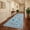 Light blue, variant on HIWEAVER Black 2' x 6' Washable Floral Bordered Runner for Kitchen Animal Cat Indoor Throw Carpet Modern Non-Slip Foldable Doormats for Hallway Dorm Home Decor