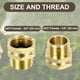 thumbnail image 2 of Adaptador de Manguera 3/4" GHT Hembra x 1/2" NPT Macho, Conector de Manguera de Jardín, Oro, 2 of 6