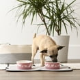 thumbnail image 3 of DII Pet Bowl Dog Show Rose Small 4.25Dx2H (Set of 2), 3 of 5