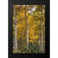 thumbnail image 2 of Head, Danny 17x24 Black Modern Framed Museum Art Print Titled - Autumn Aspens II, 2 of 5
