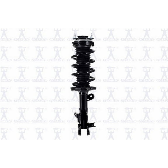 Suspension Strut and Coil Spring Assembly