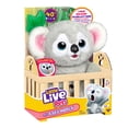 thumbnail image 3 of Juguete Peluche Interactivo Koala Little Live Pets, 3 of 5