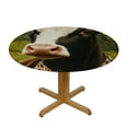thumbnail image 3 of Patifu Cow Theme Round Tablecloth with Elastic Edge - Stain-Resistant, Washable, Fiber - Ideal for Indoor and Outdoor Use in Restaurants, Weddings, Parties - Multiple Sizes Available, 3 of 8