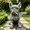 15.75" Gray, variant on 15.75" Garden Statues,Resin Standing Bear Sculpture,Waterproof,UV-resistant, Suitable for Patio,Yard,Lawn,Black