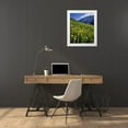 thumbnail image 3 of Terrill, Steve 26x32 White Modern Wood Framed Museum Art Print Titled - CO, Gunnison NF Sulfur paintbrush and groundsel, 3 of 4
