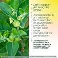 thumbnail image 6 of MegaFood Thyroid Strength - Ashwagandha, Zinc, Selenium, Iodine - Vegetarian - 30 Servings, 6 of 10