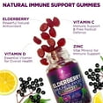 Immune Support Gummies Powerful Elderberry, Zinc & Vitamin C Gummy