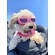 thumbnail image 3 of Enjoying Gafas de Sol de Perros Pequeños UV Lentes de Sol para Perritos Prueba de Viento/Nieve Gafas para Mascota, Rosa, 3 of 5