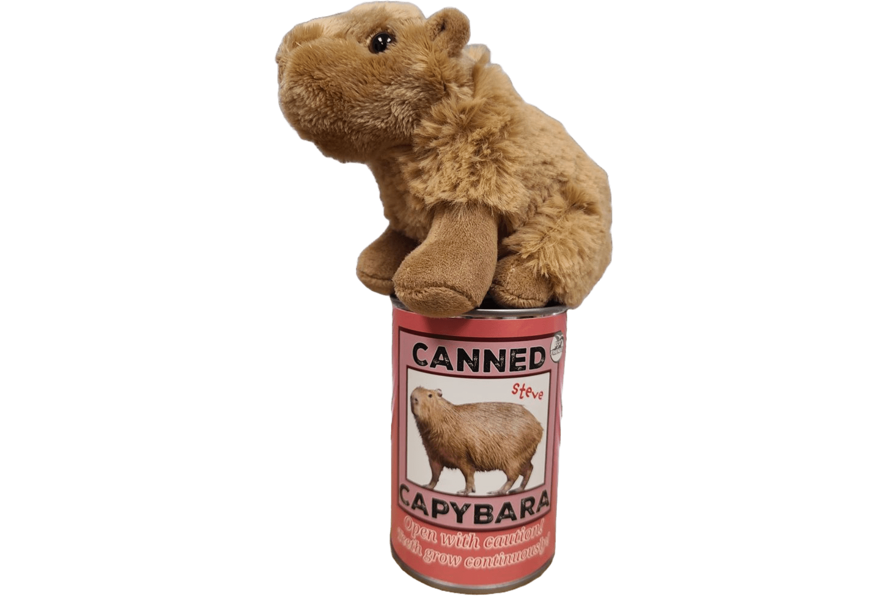 Canned Capybara | Stuffed Plush Toy | Ecofriendly Unique Fun Gift!