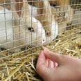 thumbnail image 5 of YardGard 3' x 100' 1/4" Square Mesh Wire Hardware Cloth Poultry Fence, 5 of 6