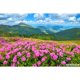 thumbnail image 3 of Fondos de fotografía de paisajes naturales con cielo azul, nubes blancas, montañas, árboles y ríos para bebés, 3 of 5