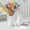 White-Free Size, variant on CxhicLuv Ceramic & Plastic Flower Vase for Christmas Tree Décor, Stylish Hydroponic Vase for Fresh & Artificial Flowers, Elegant Home & Office Centerpiece, Decorative Vase for Holiday Parties
