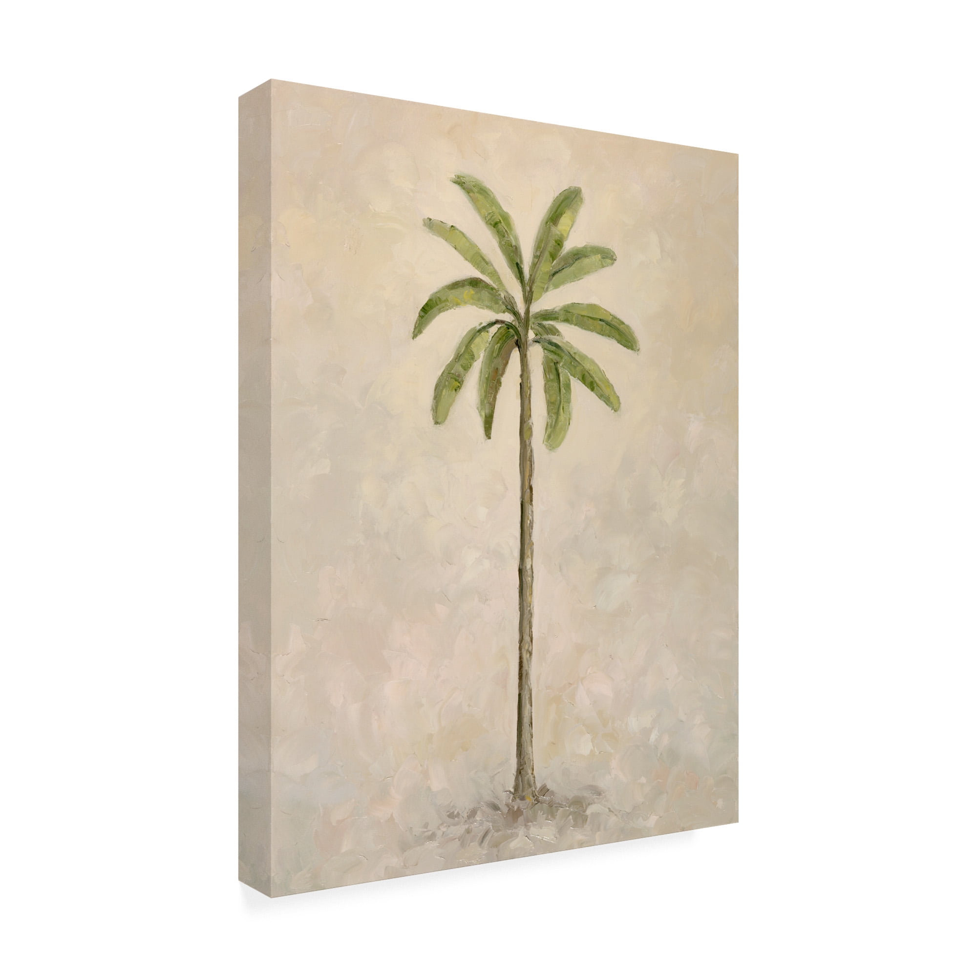 Trademark Fine Art 'Palm Tree 2' Canvas Art by Debra Lake