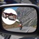 thumbnail image 1 of Motorcycle Goggles Riding Goggles Sturdy For Motorcycle Riding ANGGREK Otros, 1 of 8