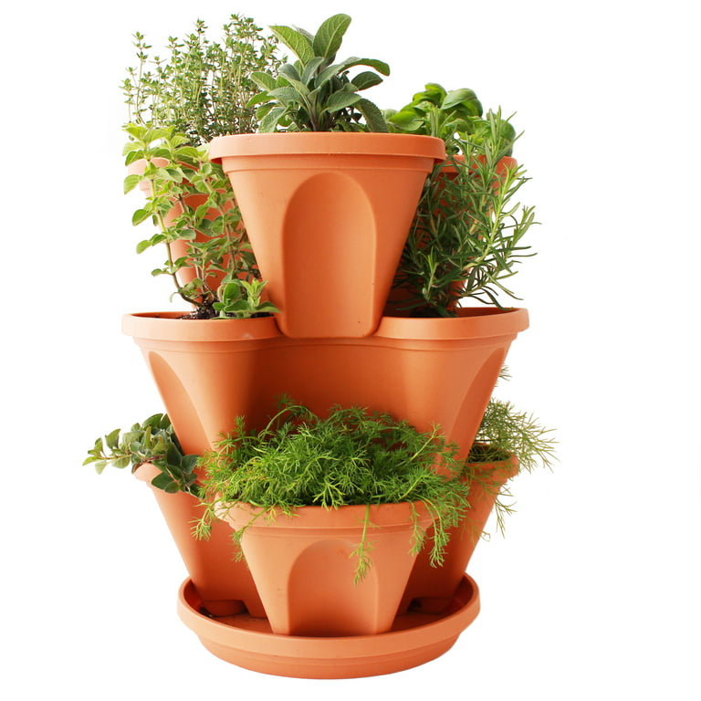 Garden Stacker Planter Culinary Herb Garden Kit - Color: Terracotta -  Stackable / Hangable Planter Pot - Indoor / Outdoor - 12 Seed Packs:  Parsley, Dill, Basil, Chives, Cilantro, More 
