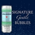 thumbnail image 2 of S.Pellegrino Sparkling Natural Mineral Water, Unflavored, 11.15 Fl. Oz (Pack of 24), 2 of 3