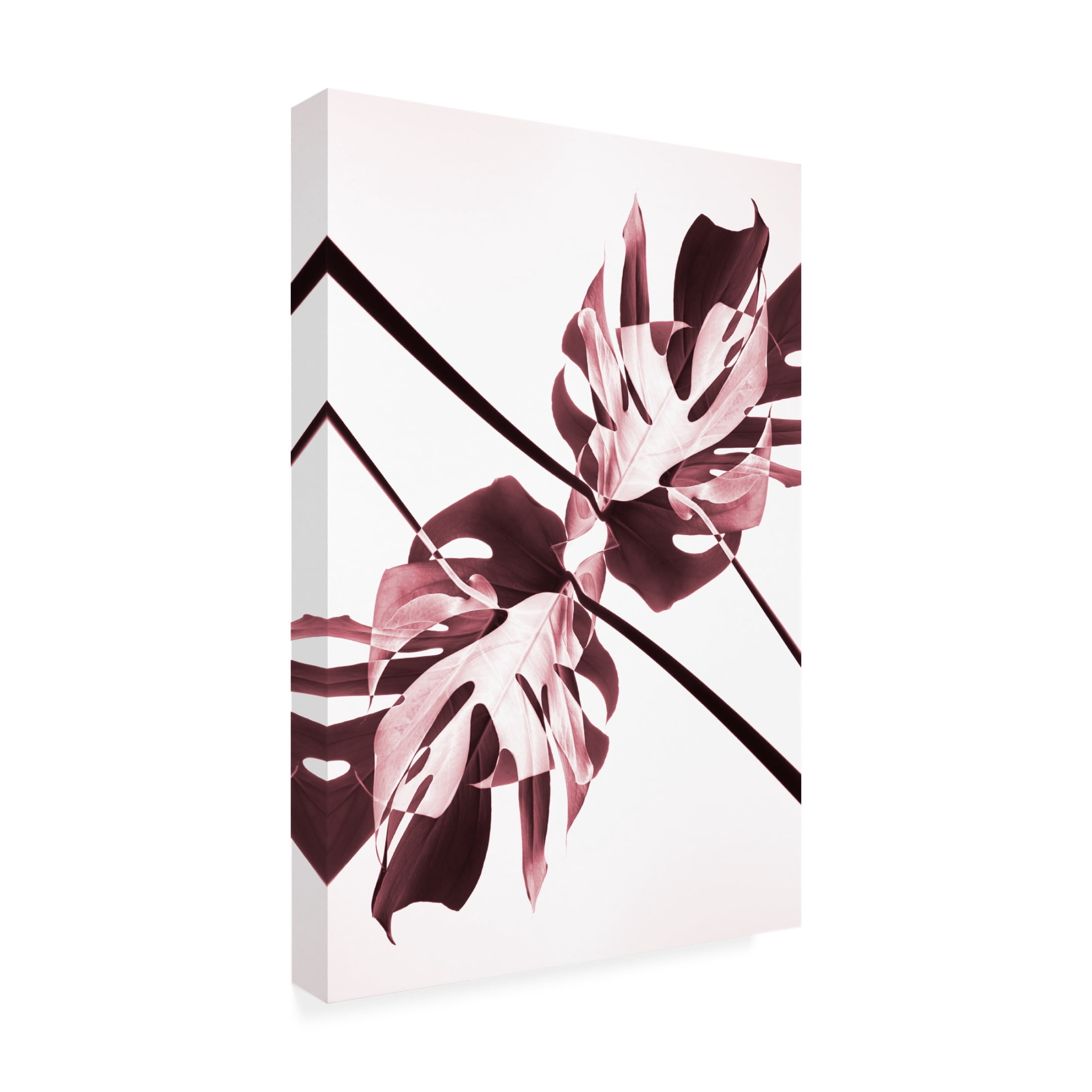 Trademark Fine Art Pictufy Studio Monstera Kaleidoscope 02 Canvas Wall Art