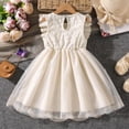 thumbnail image 6 of HAYIMI Child Summer Girls Dress With Mesh Floral Lace Trim Sleeveless Party Style For Warm Weather O-Neck Leisure Dresses, 6 of 8
