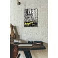 thumbnail image 2 of Epic Art 'Zoo York' by Loui Jover, Acrylic Glass Wall Art, 12"x16", 2 of 2