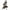 Pink, variant on Winter Coats for Women Zpanxa Women Plus Size Long Open Front Cardigans, Retro Printed Long Trench Coat, Colorful Jacket Outerwear Winter Coats with Pockets Multicolor L