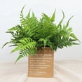 thumbnail image 3 of Artificial Fern Plant Plastic - Decorative Greenery Leaf Pick Faux Fern Stem, 3 of 7