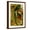 Brown Frame, variant on Art.com Quetzal Art Print by F.W. Kuhnert, 12" x 18"