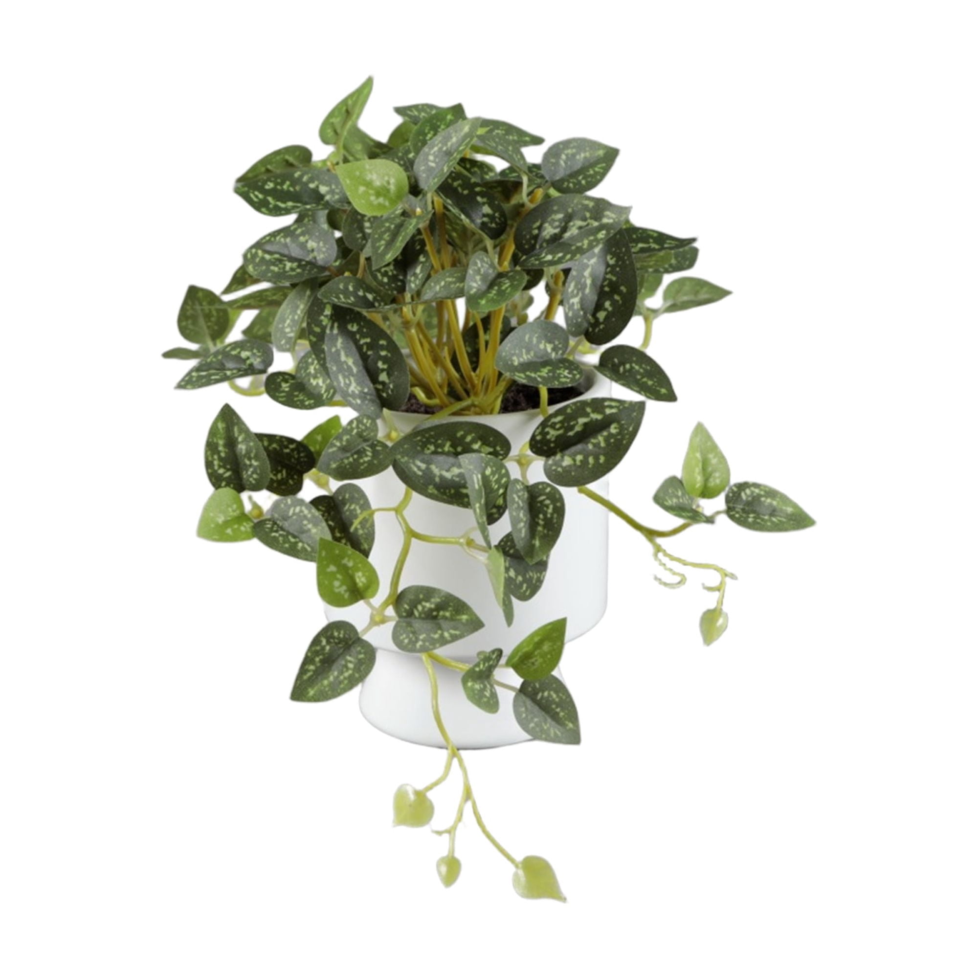Artificial Trailing Leaf Plant in Ceramic Pot, 9 in H x 7.5 in W x 7.5 in D