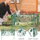 thumbnail image 5 of FENGGUIQU 1Jgo Estructura Para Plantas Trepadoras Color Para Jardín Con Decorativo Resistente, 5 of 5