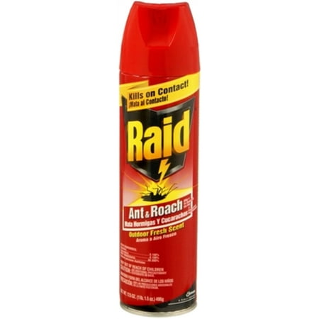 Raid Ant & Roach Spray Outdoor Fresh 17.50 oz (Pack of