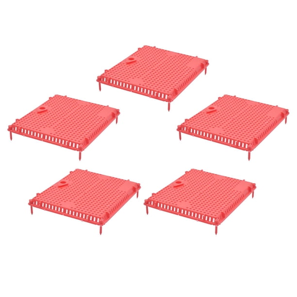 Jaula de introducción no para apicultura, equipo de apicultura plano redondo de plástico, aislador , sistema de s en rojo Sunnimix jaula de apicultura